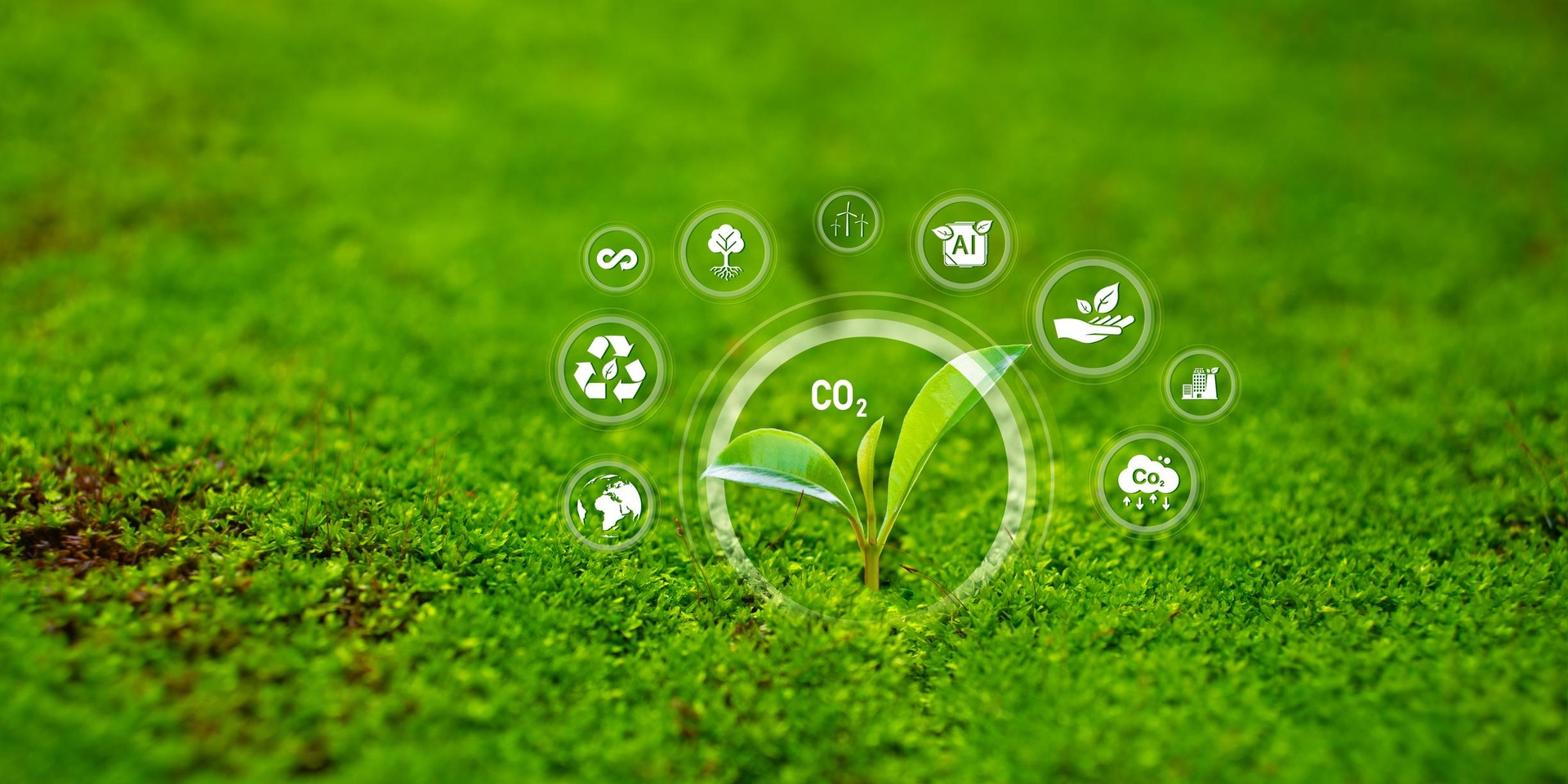 Green IA
